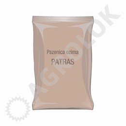 Pszenica ozima Patras C1 50kg