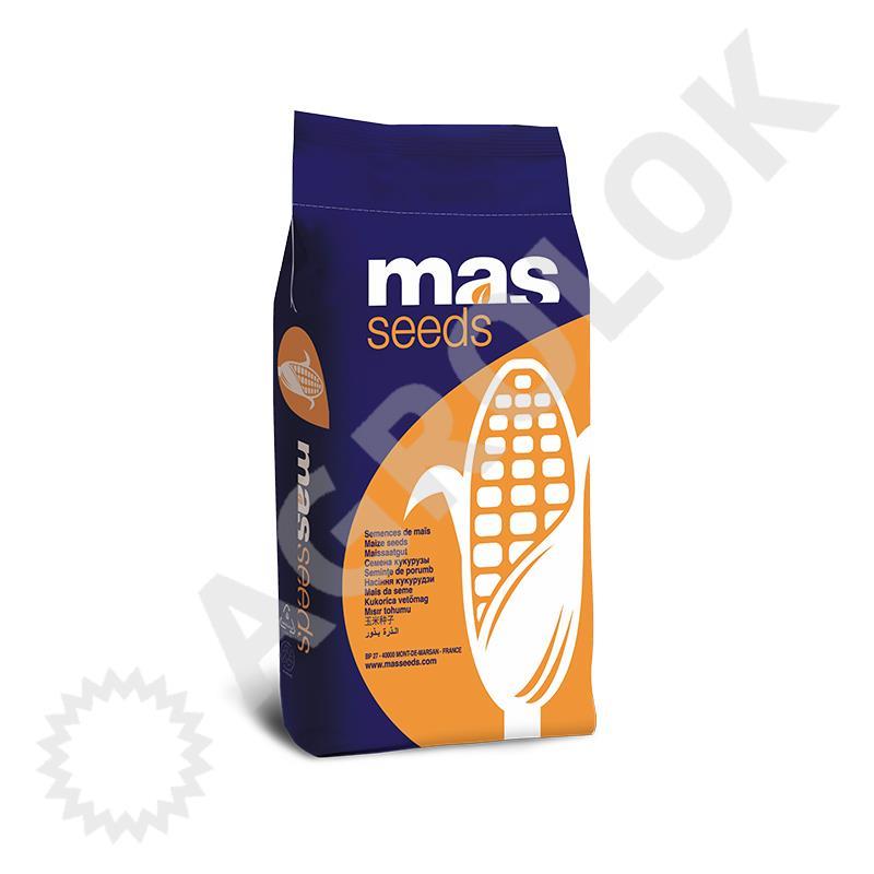 MAS 10A - Bright Maize