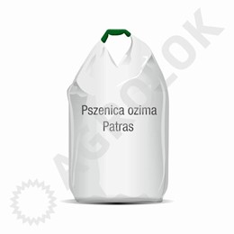 Pszenica ozima Patras C1 500kg